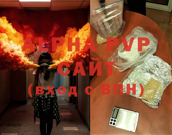 индика Новодвинск