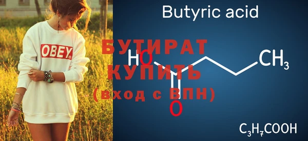 индика Новодвинск