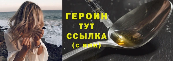 индика Новодвинск