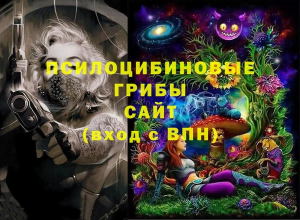 индика Новодвинск