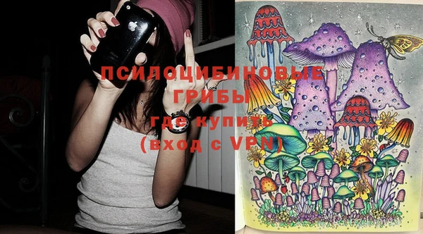 стаф Абдулино