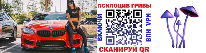 Галлюциногенные грибы прущие грибы  Усолье 